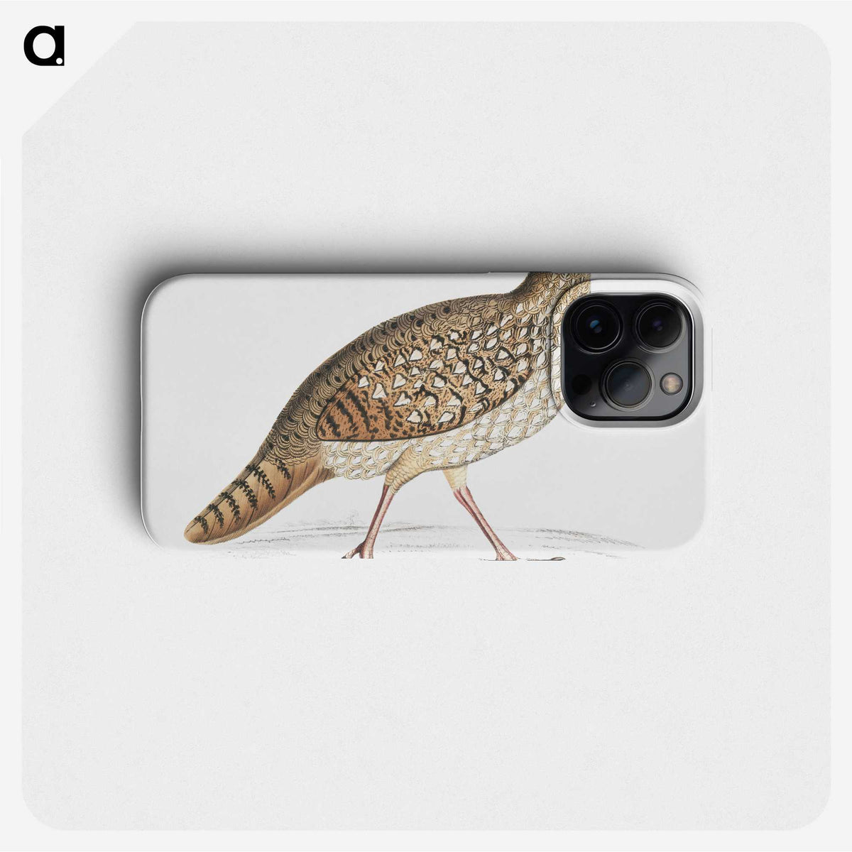 2-67_Indian-Zoology_phone