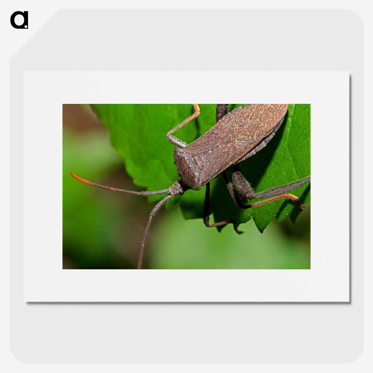 2-67_Insects-Unlocked-Project_picture
