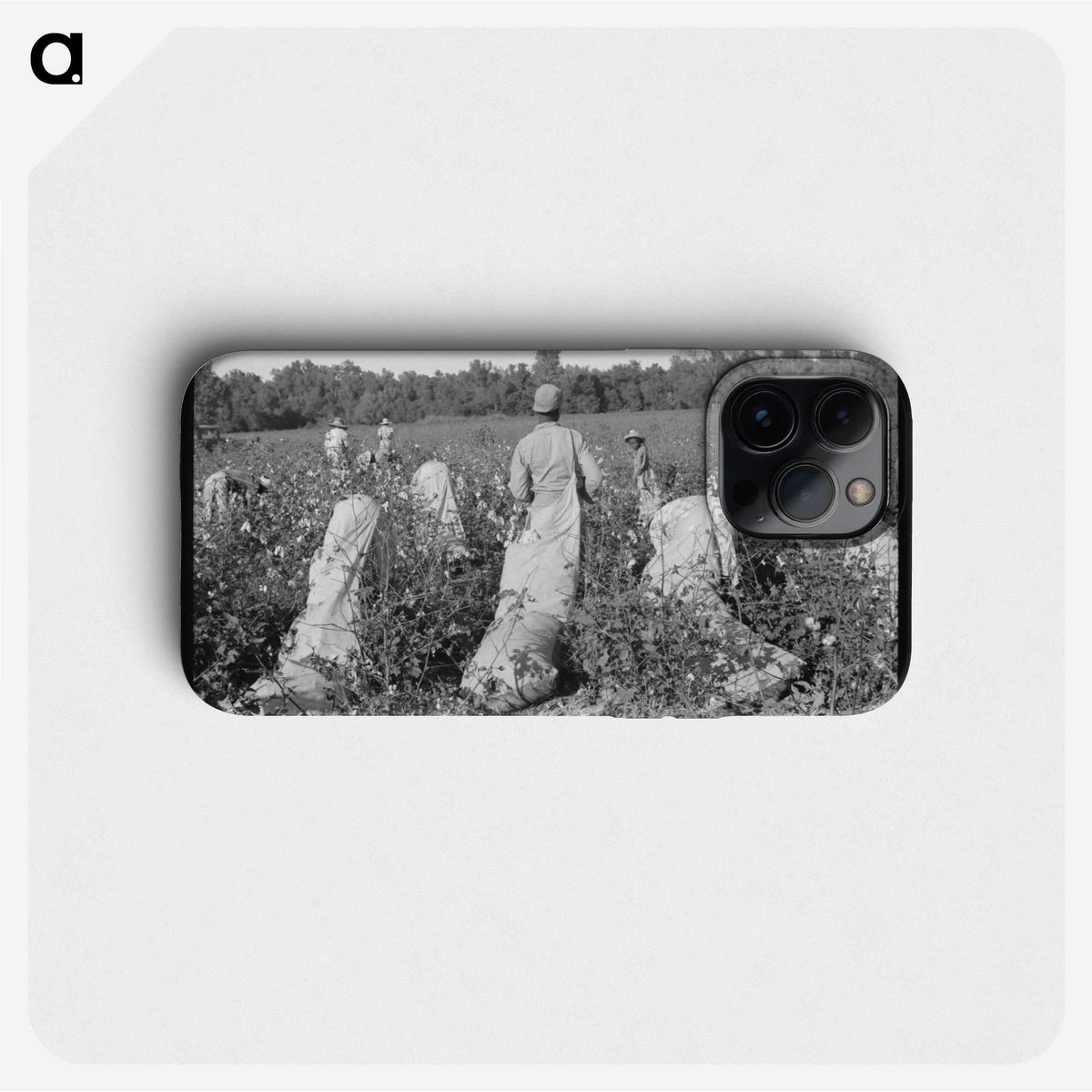 2-67_Marion-Post-Wolcott_phone