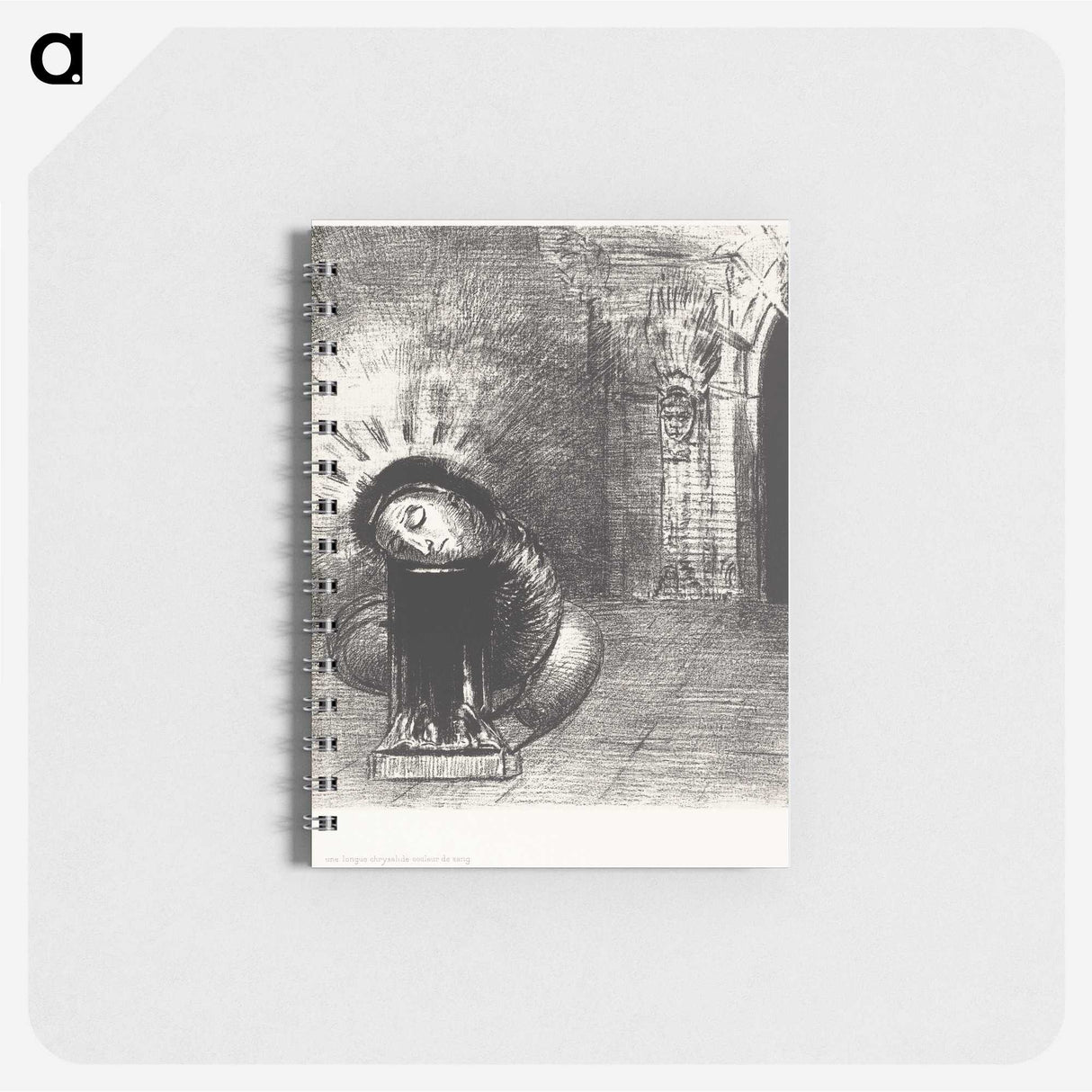2-67_Odilon-Redon_memo