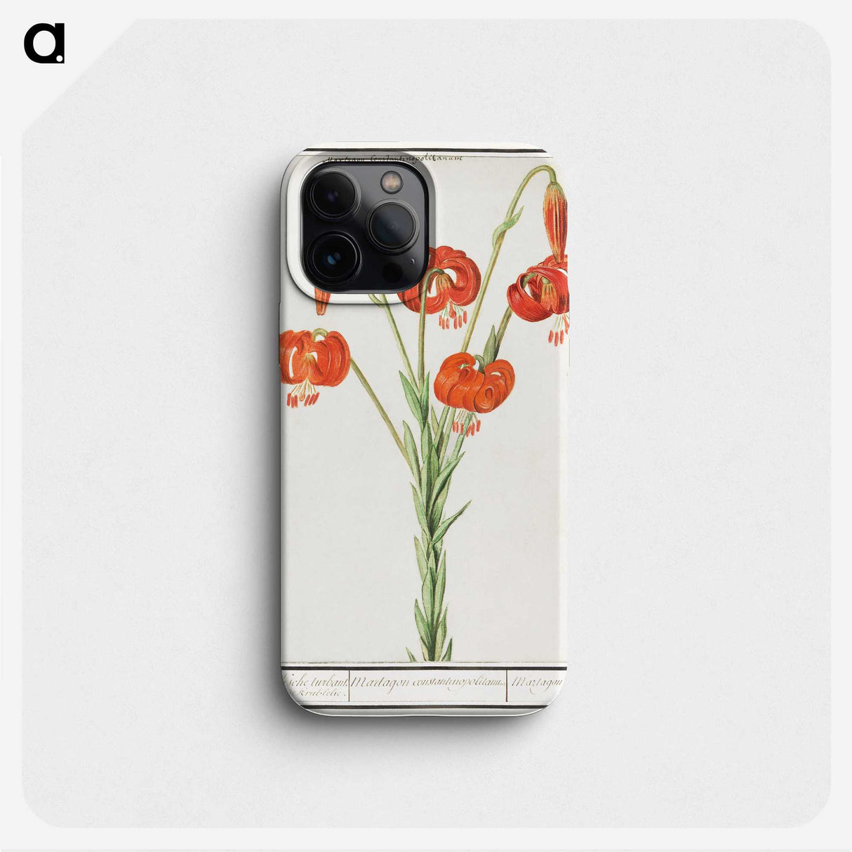2-68_Anselmus-Boetius-de-Boodt_phone