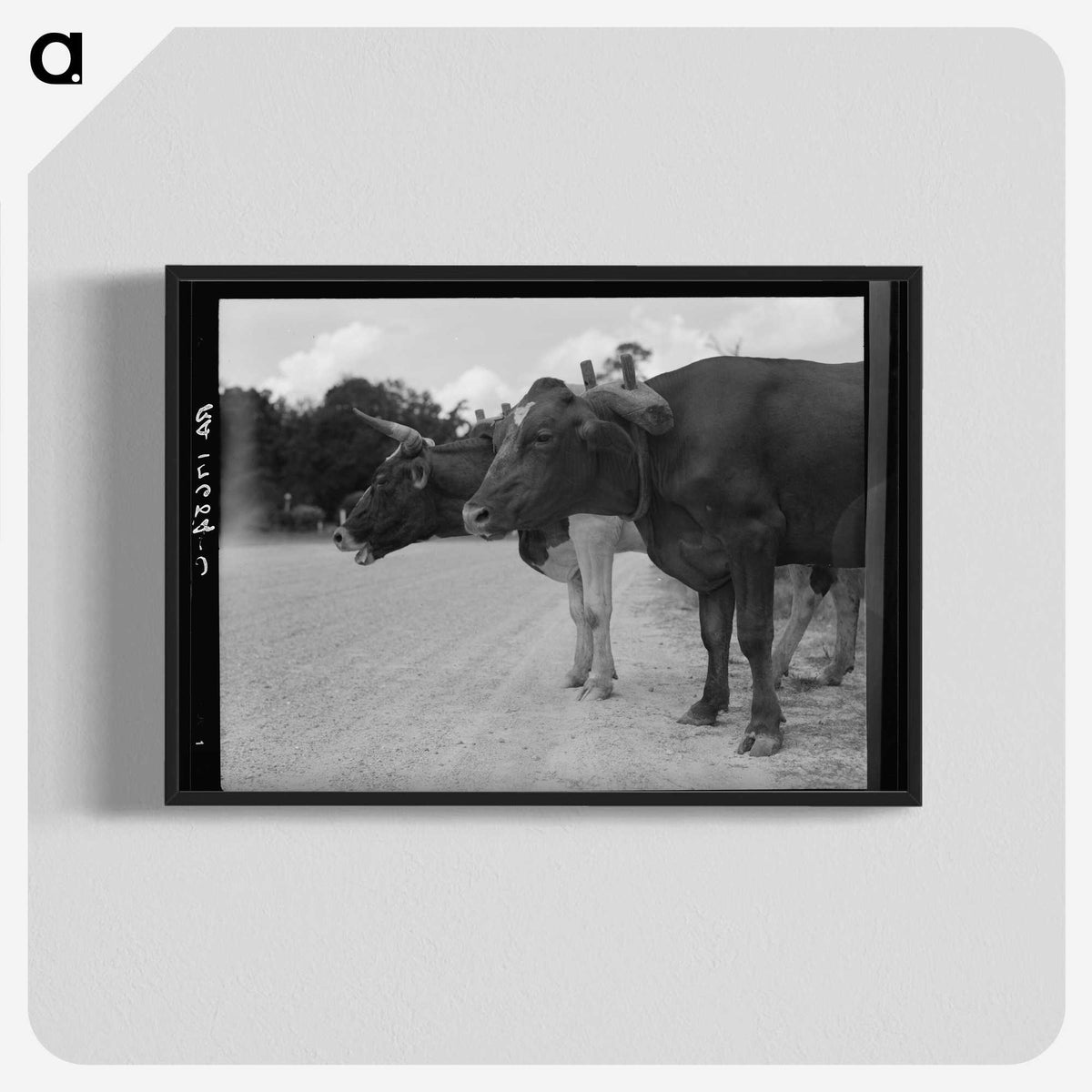 2-68_Dorothea-Lange_blk-crop