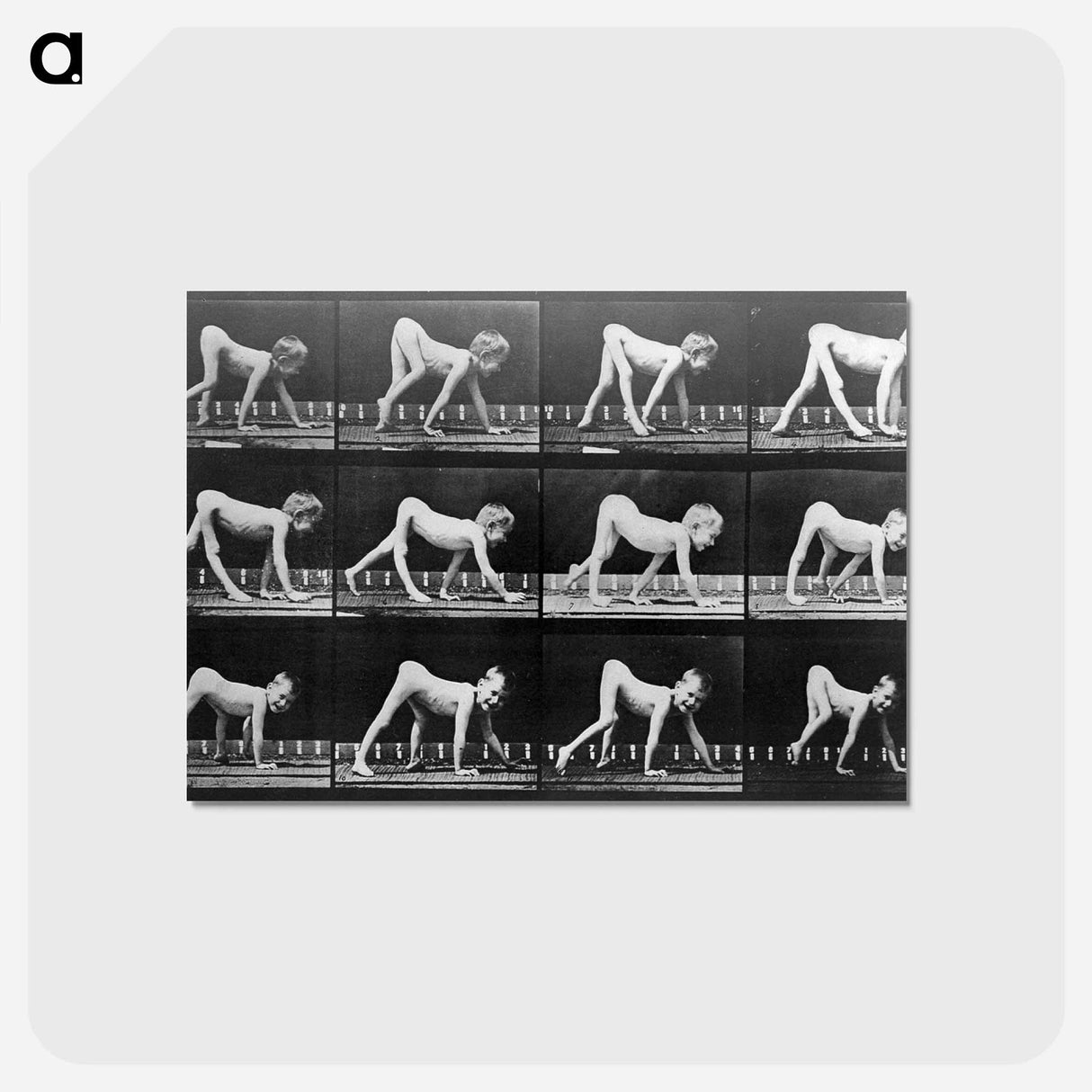 アートポストカード-Paralytic Child Walking
- エドワード マイブリッジ Postcard.