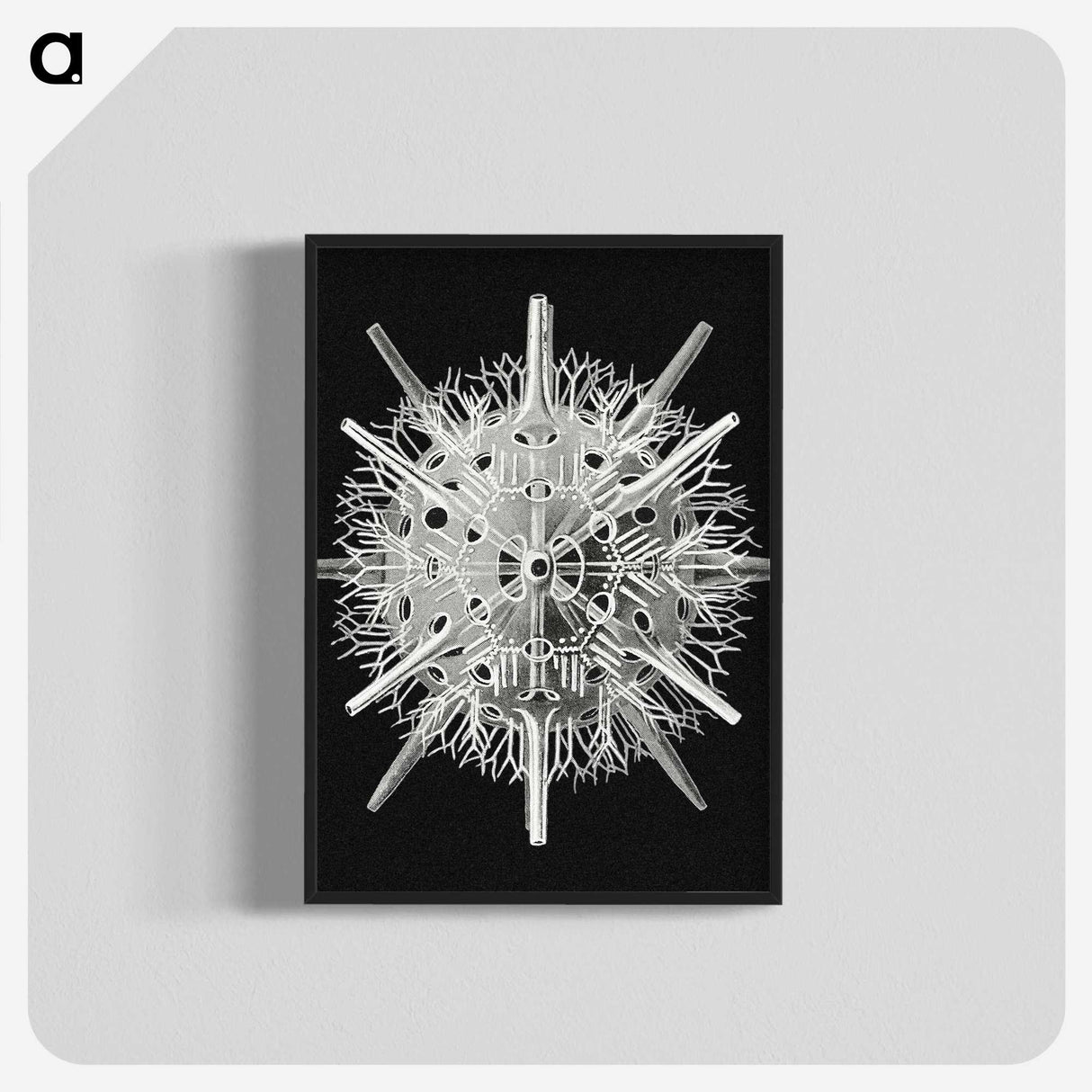 2-68_Ernst-Haeckel_blk-crop
