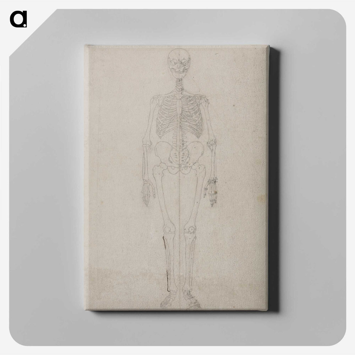 2-68_George-Stubbs_canvas