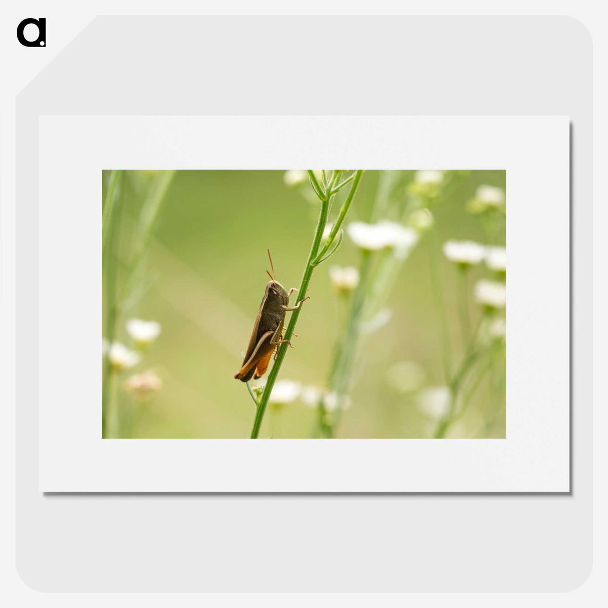 2-68_Insects-Unlocked-Project_picture