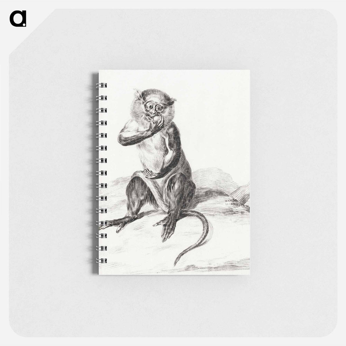 Sitting monkey, eating a fruit - ジャン ベルナール Memo.