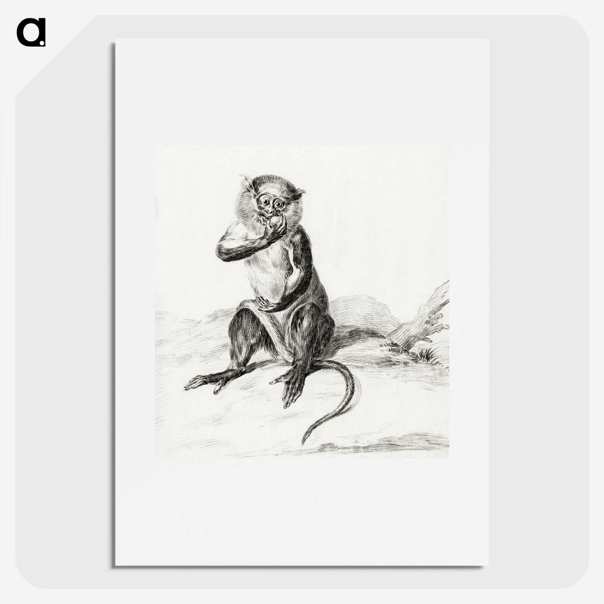 2-68_Jean-Bernard_picture