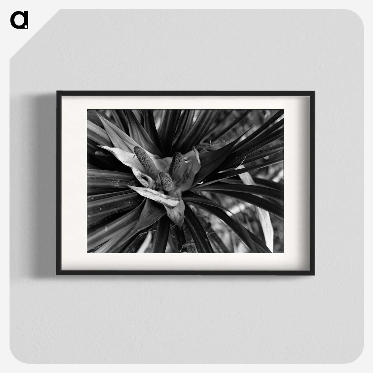 2-68_Leslie-Adkin_blk