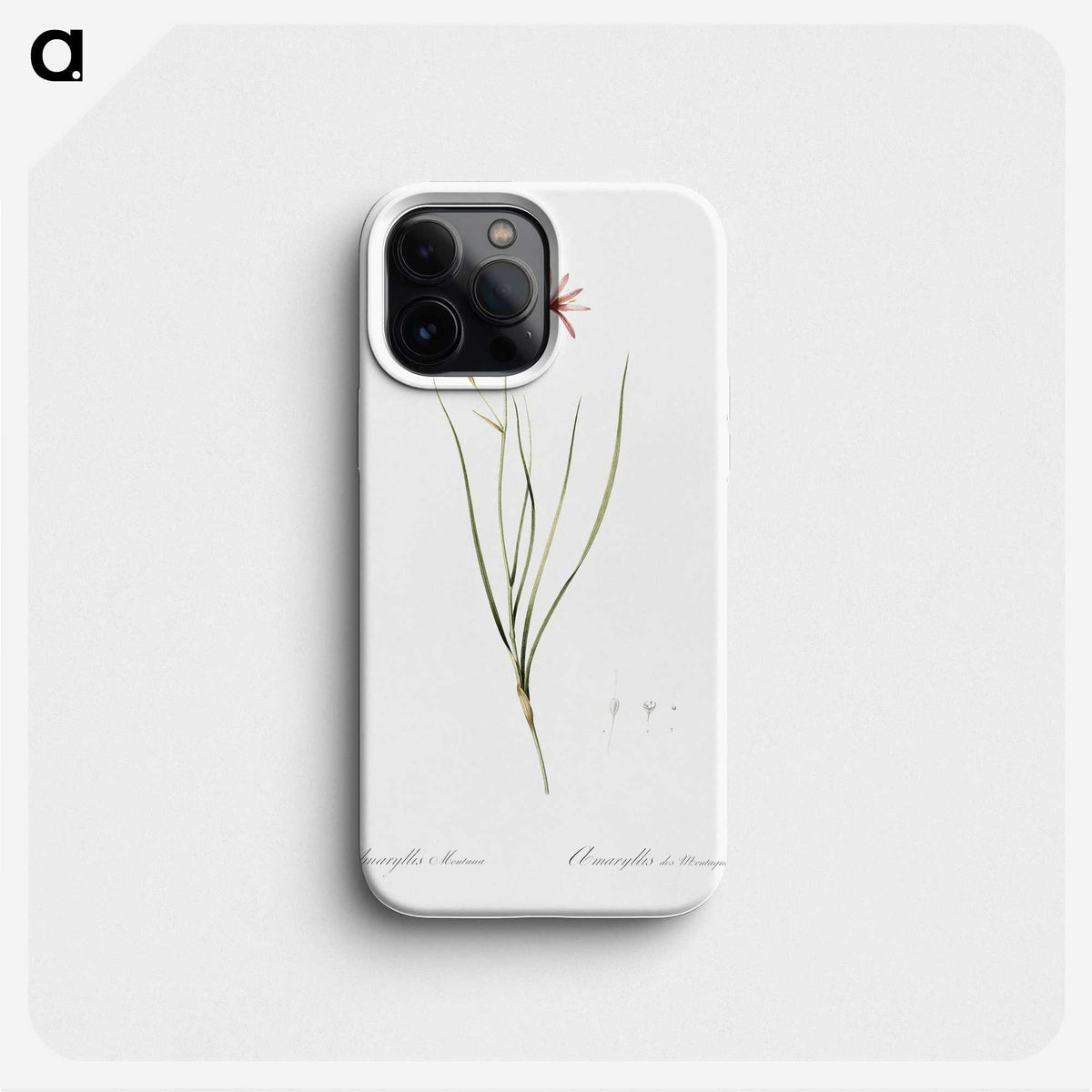 2-68_The-Lilies_phone