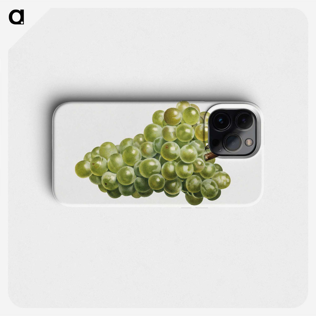 2-68_USDA-Watercolor-Fruit-Painting-Collection_phone