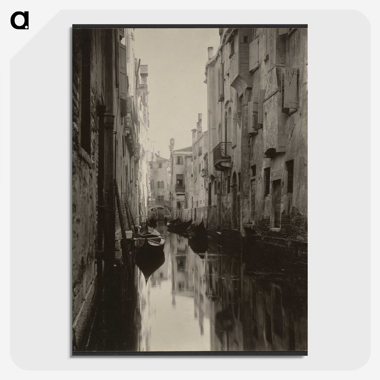 2-69_Alfred-Stieglitz_picture-crop