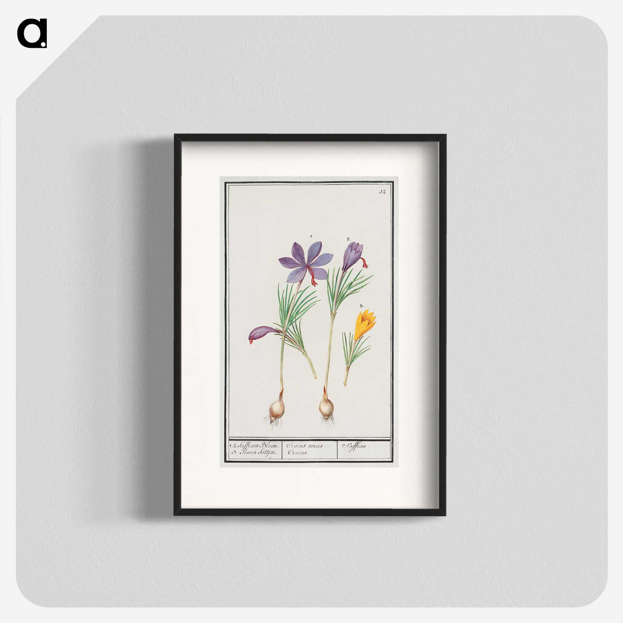 2-69_Anselmus-Boetius-de-Boodt_blk