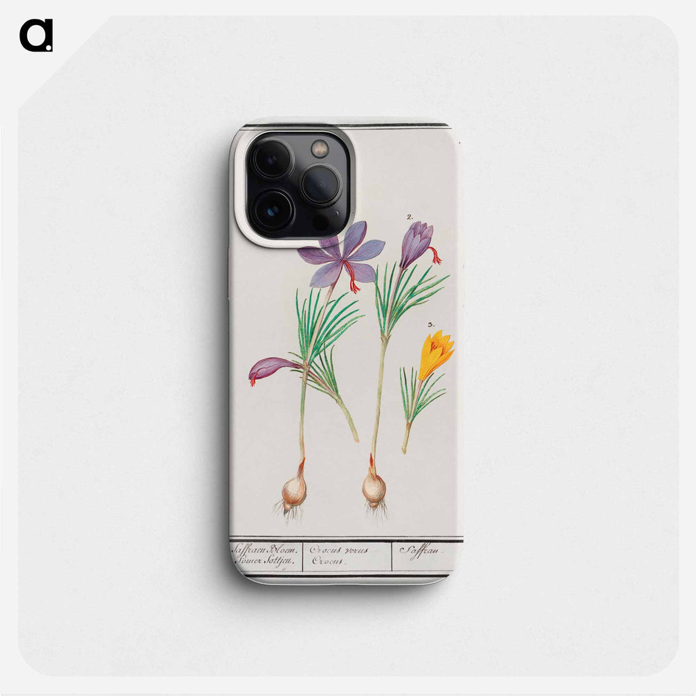 Saffron crocus, Crocus sativus and yellow crocus, Crocus - アンセルムス ボエティウス デ ブート Phone Case.