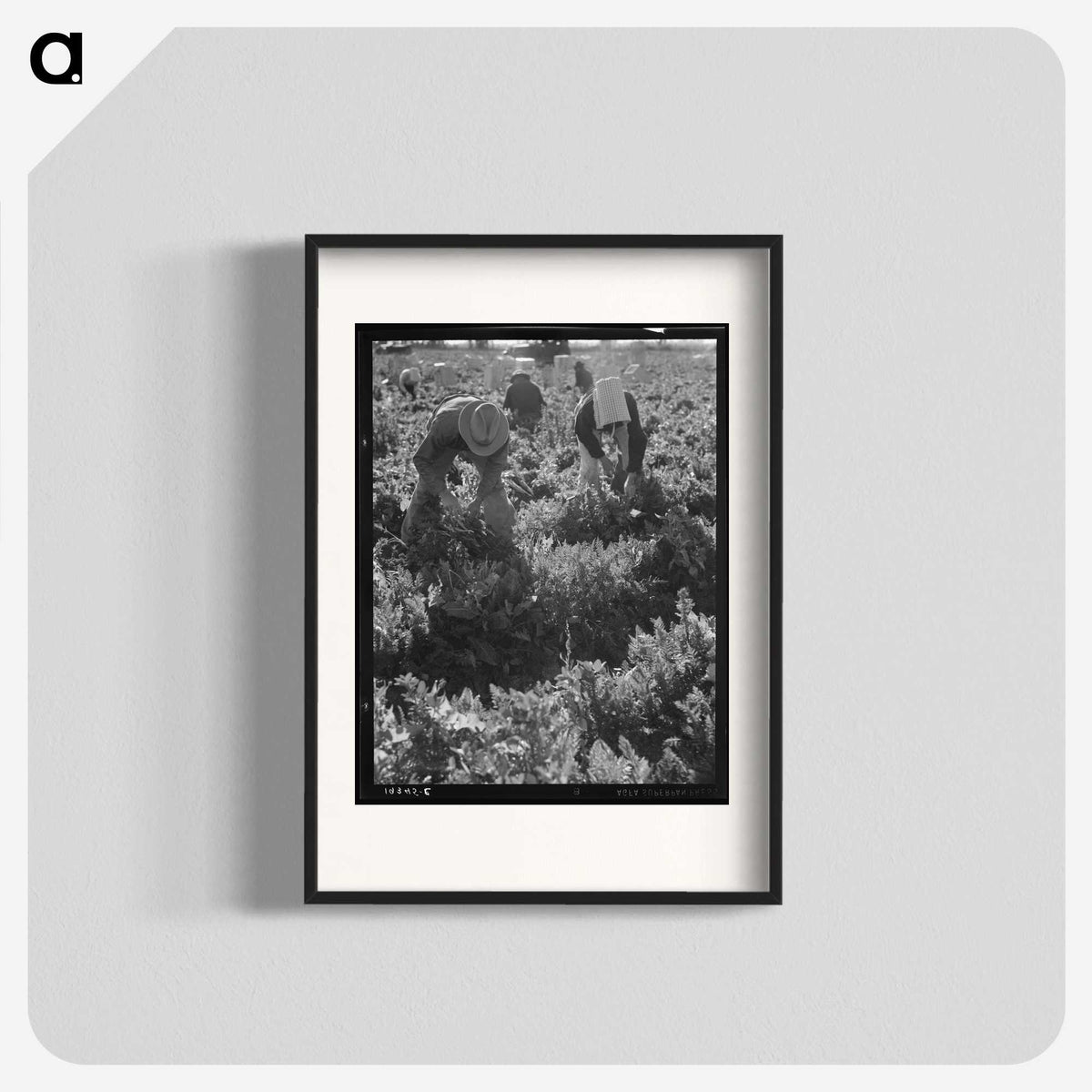 2-69_Dorothea-Lange_blk