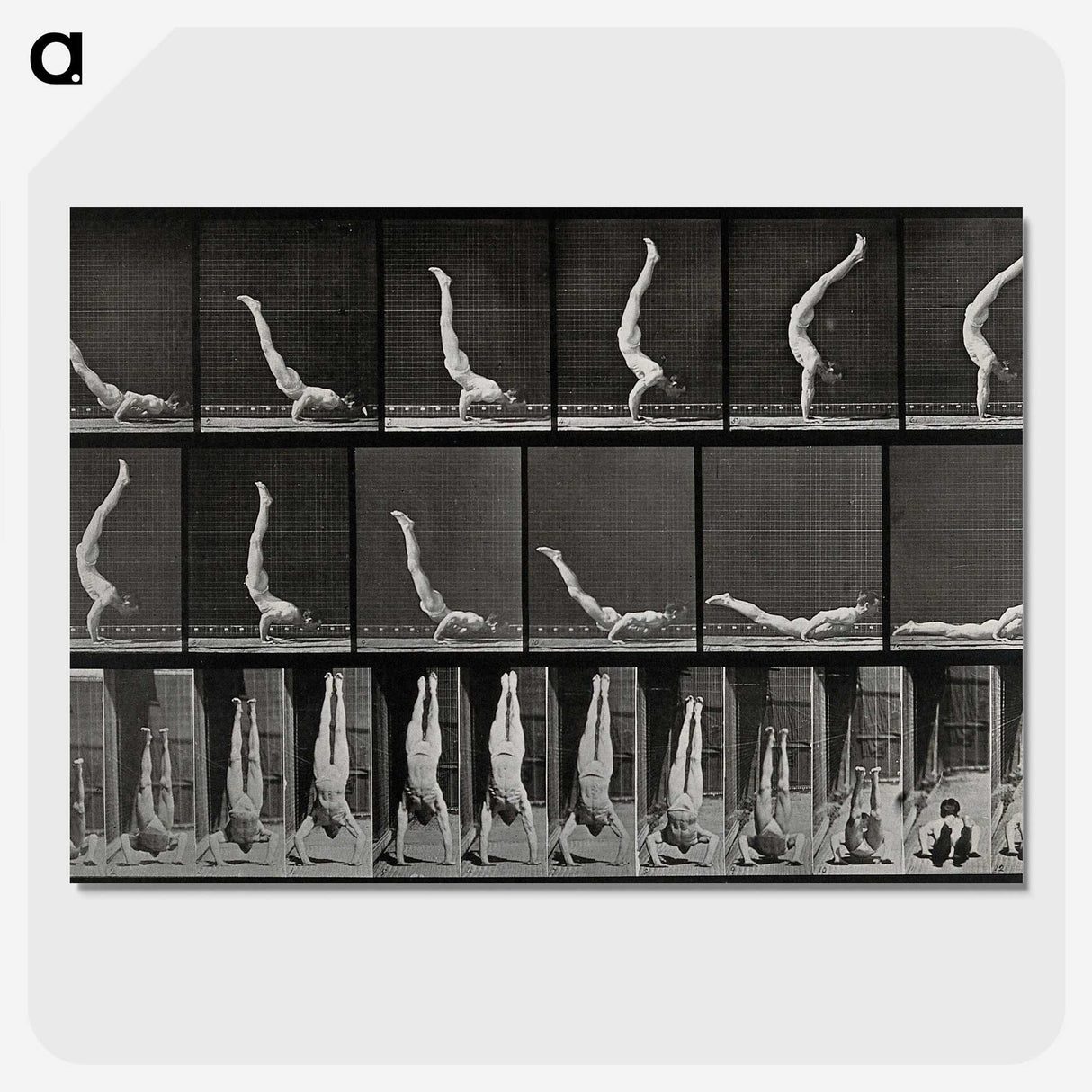 2-69_Eadweard-Muybridge_picture-crop