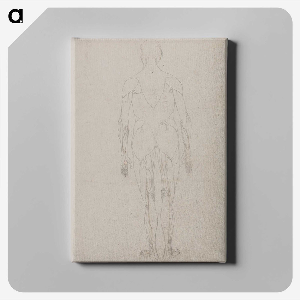 2-69_George-Stubbs_canvas