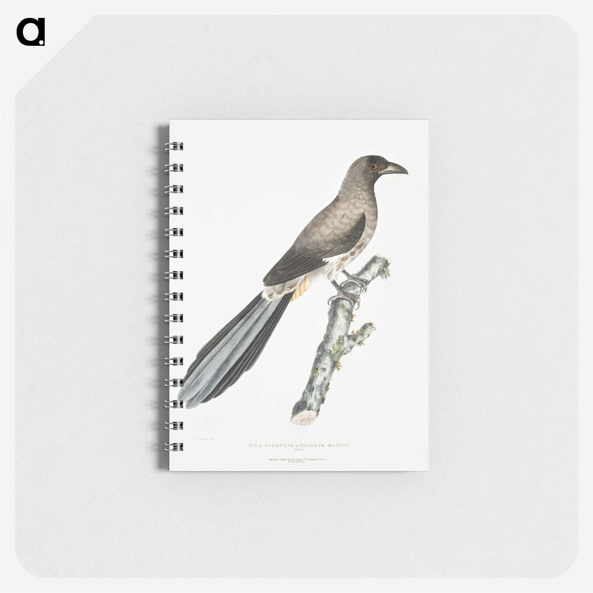 2-69_Indian-Zoology_memo