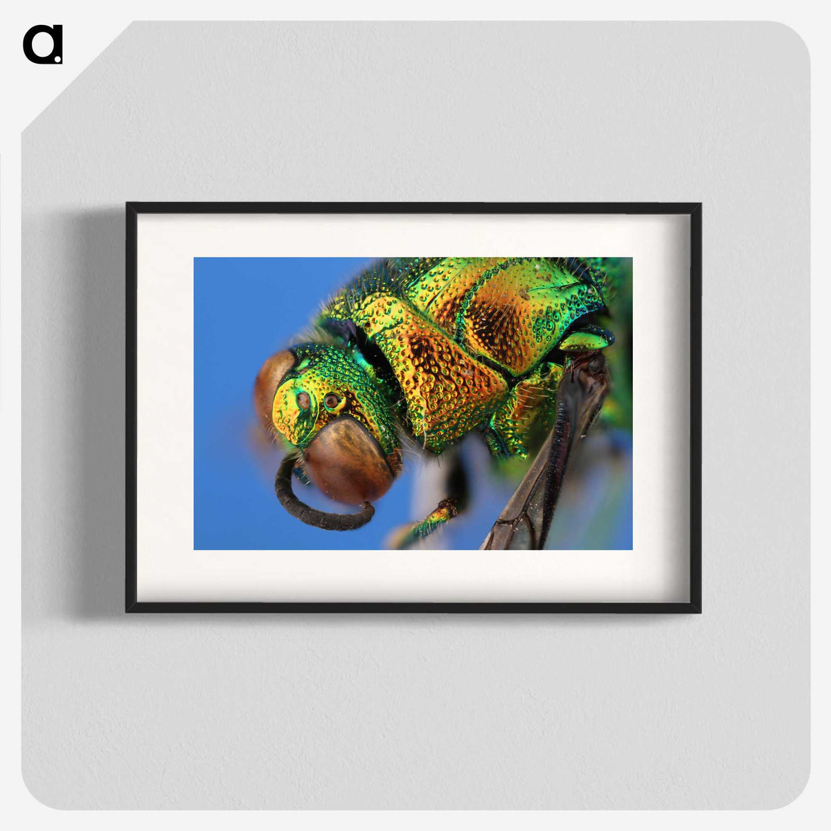 2-69_Insects-Unlocked-Project_blk