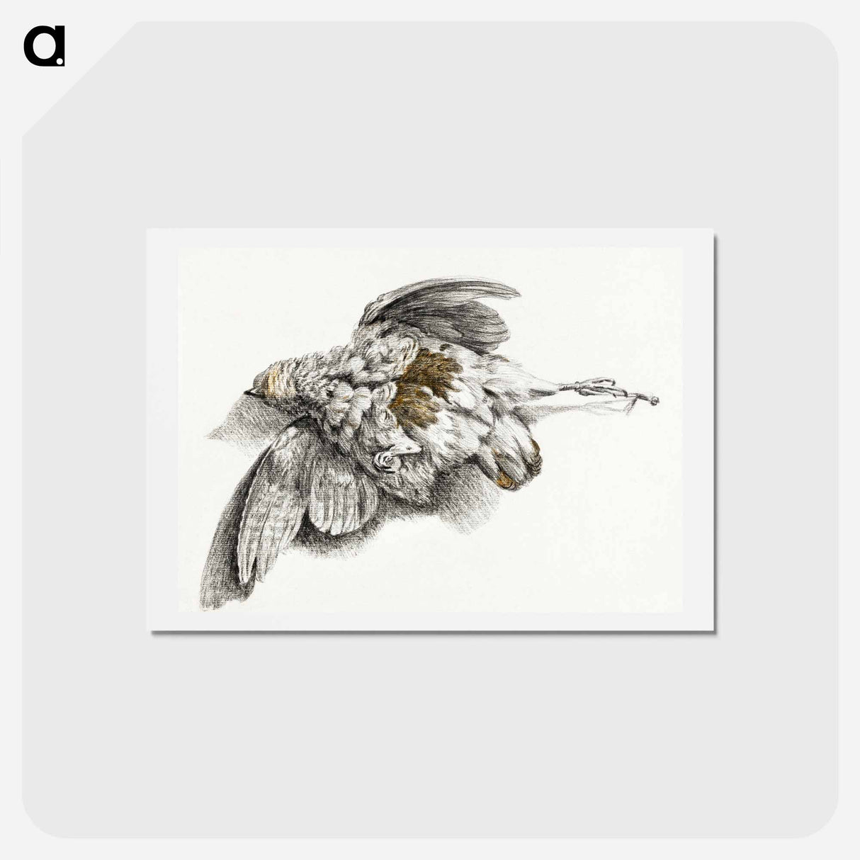 アートポストカード-Dead bird - ジャン ベルナール Postcard.