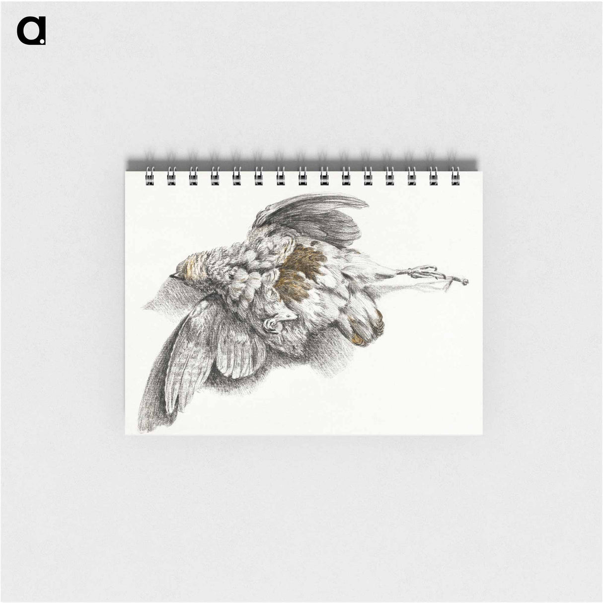 Dead bird - ジャン ベルナール Memo.