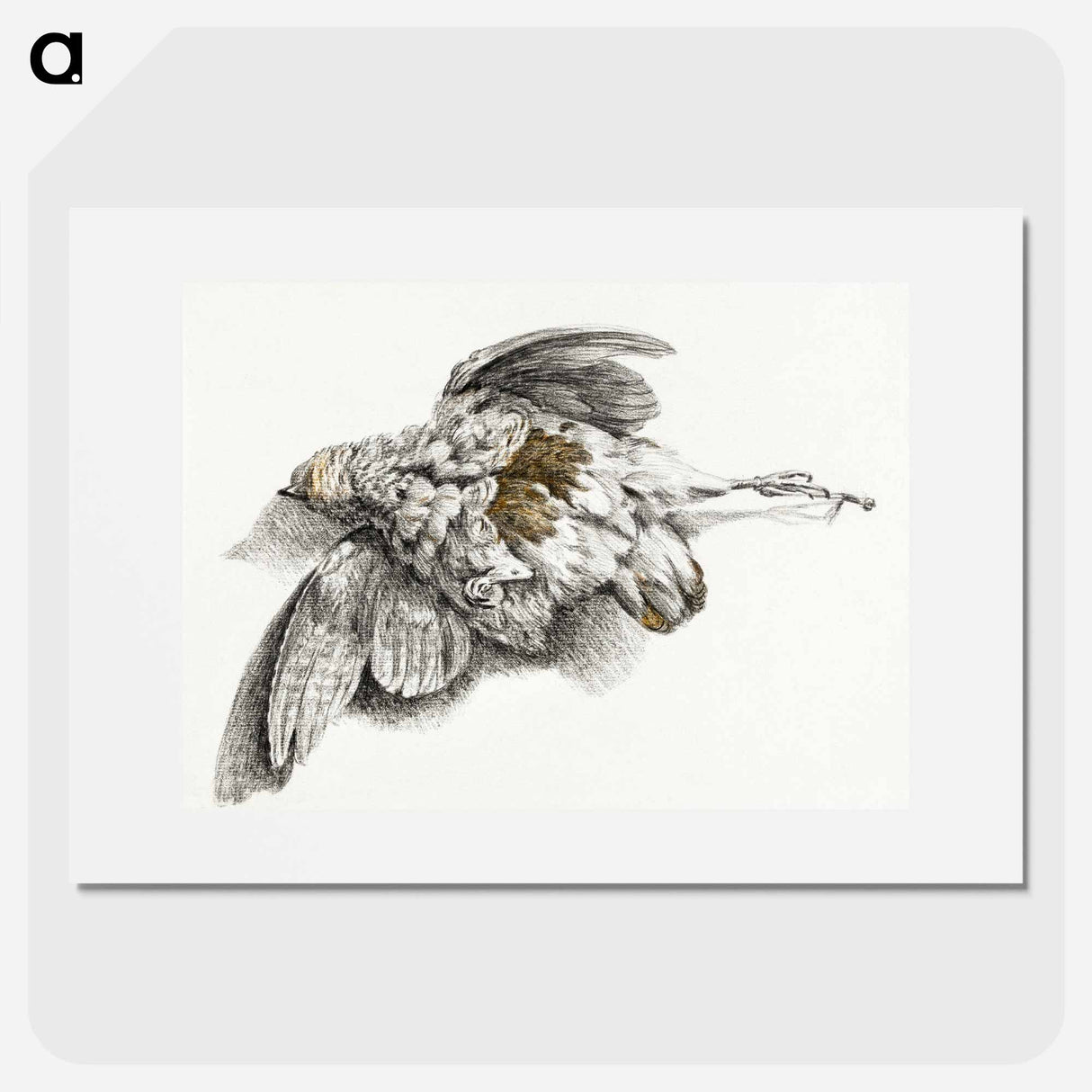 Dead bird - ジャン ベルナール Poster.