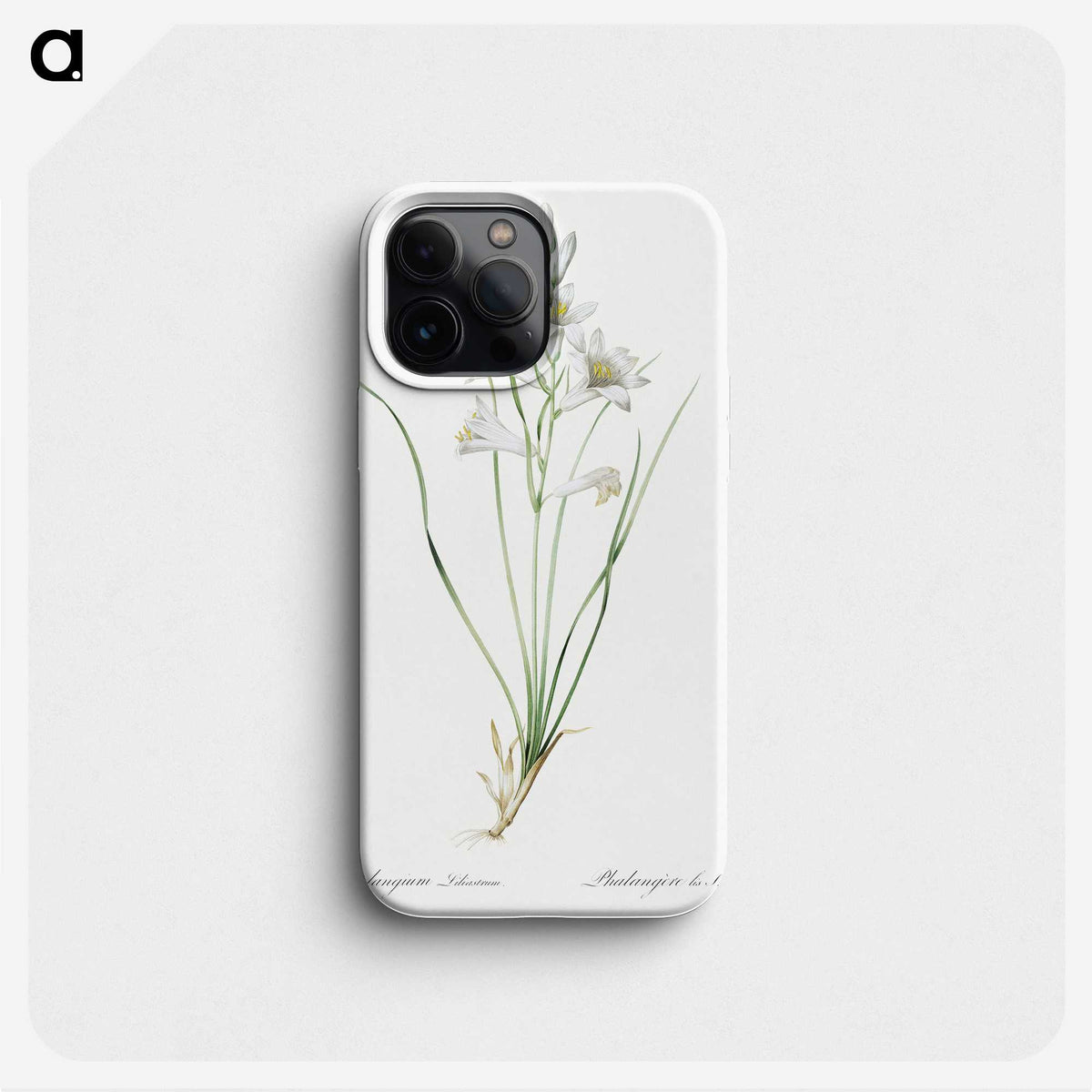 2-69_The-Lilies_phone