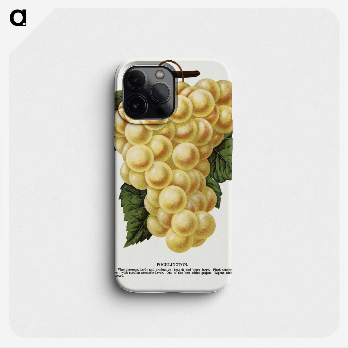 2-6_Botanical-Specimen-Plates_phone