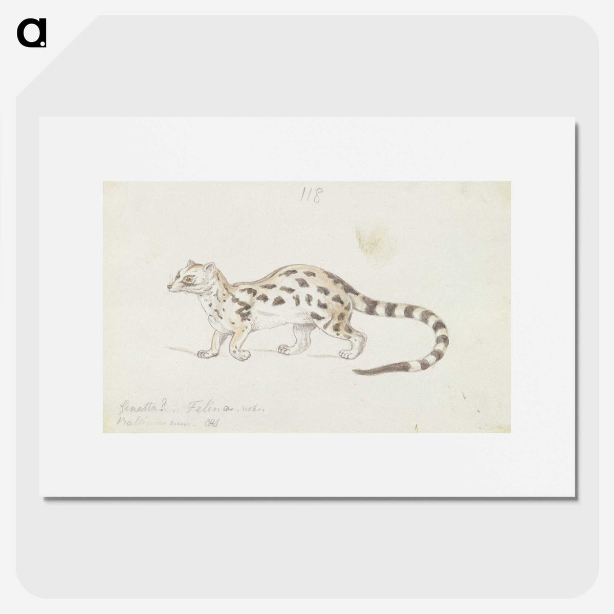 2-6_Charles-Hamilton-Smith_picture
