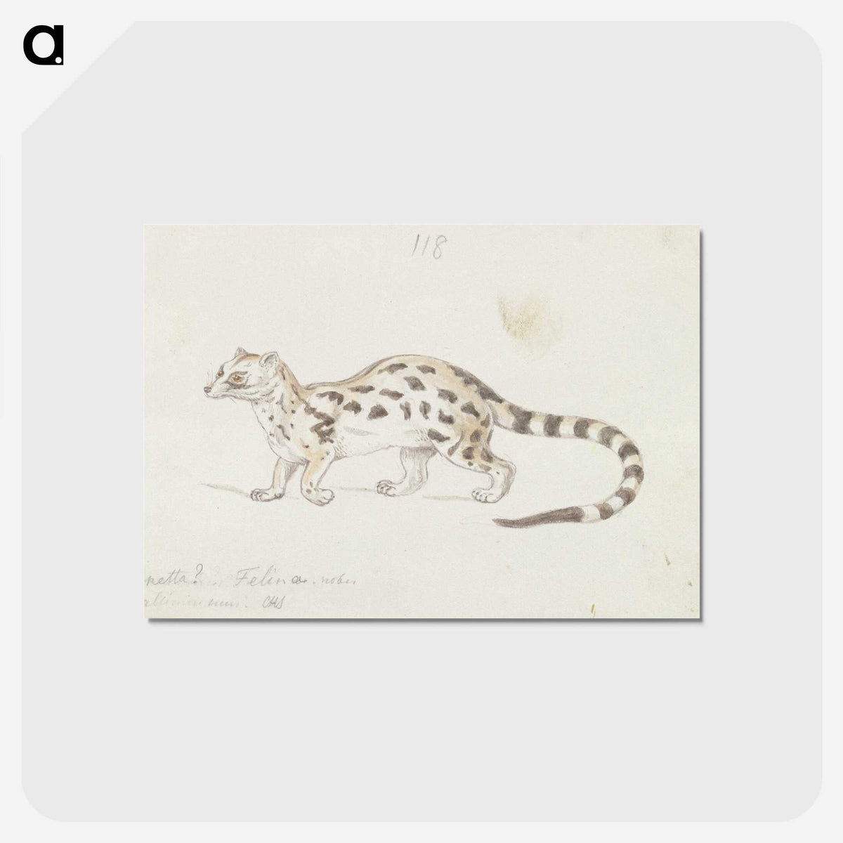 2-6_Charles-Hamilton-Smith_postcard