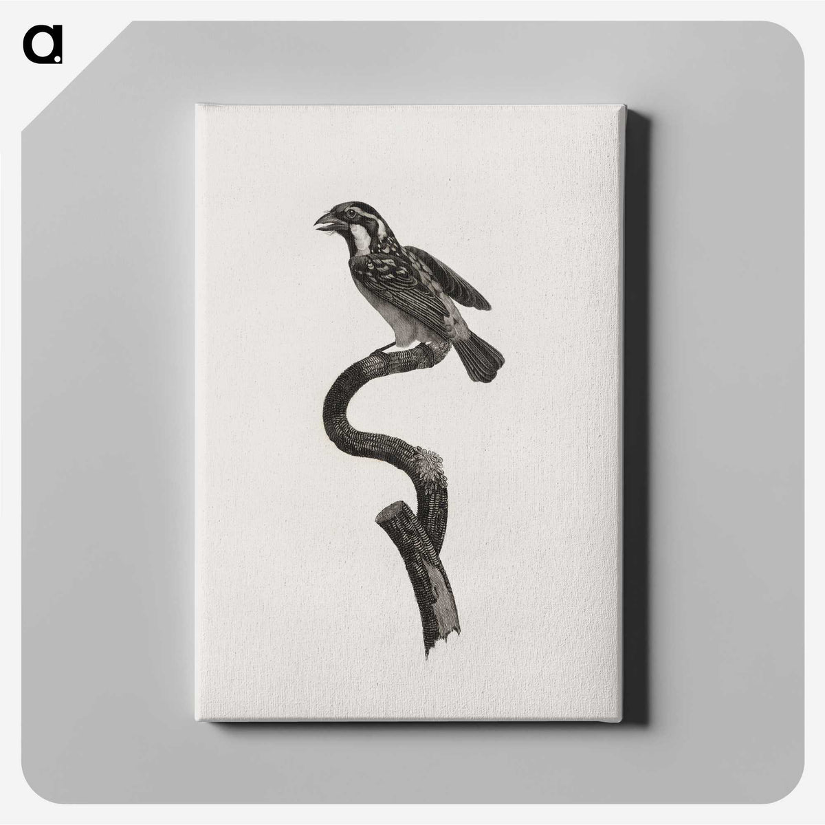 2-6_Des-Oiseaux-de-Paradis_canvas