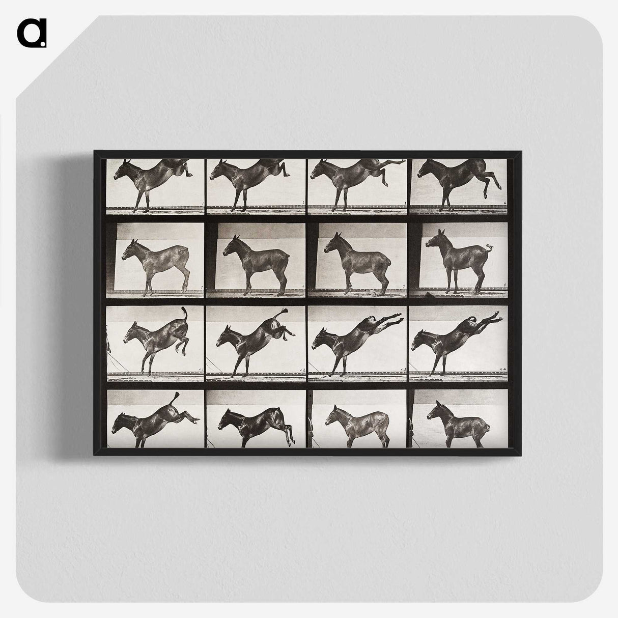 2-6_Eadweard-Muybridge_blk-crop