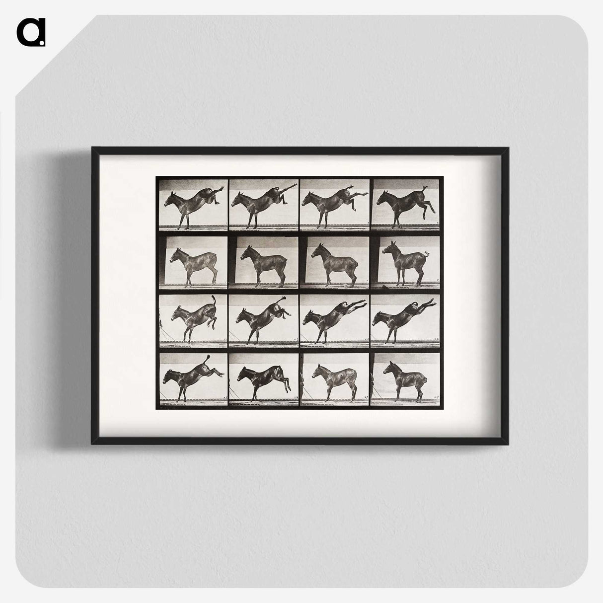 2-6_Eadweard-Muybridge_blk