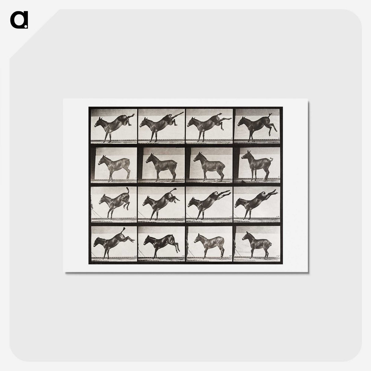 2-6_Eadweard-Muybridge_hagaki