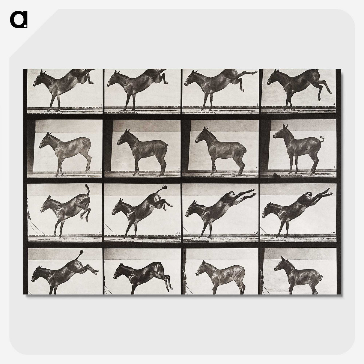 2-6_Eadweard-Muybridge_picture-crop