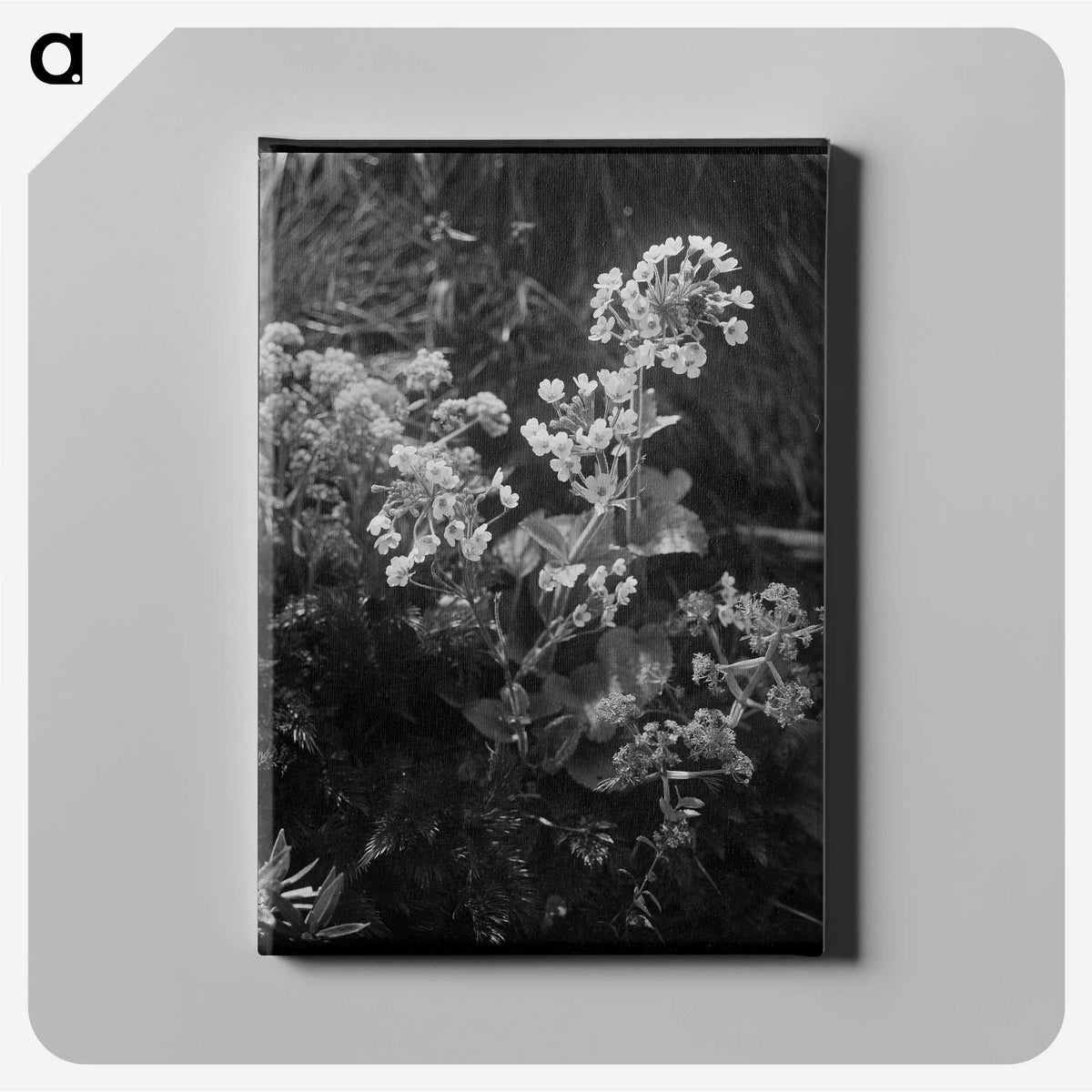 2-6_Frederick-Charles-Brockett_canvas