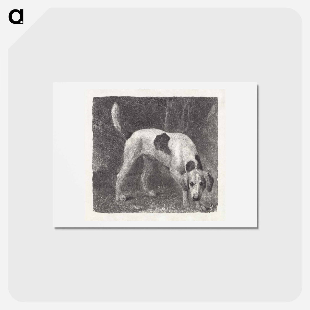 アートポストカード-Dog: A Foxhound on the Scent
- ジョージ スタッブス Postcard.