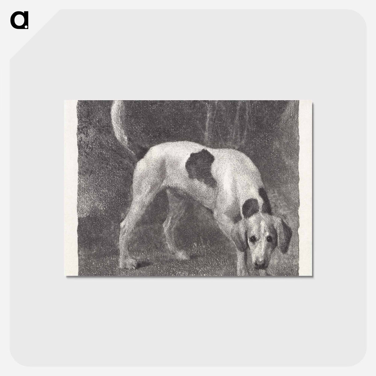 アートポストカード-Dog: A Foxhound on the Scent
- ジョージ スタッブス Postcard.