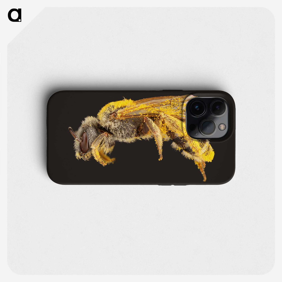 2-6_Insects-Unlocked-Project_phone
