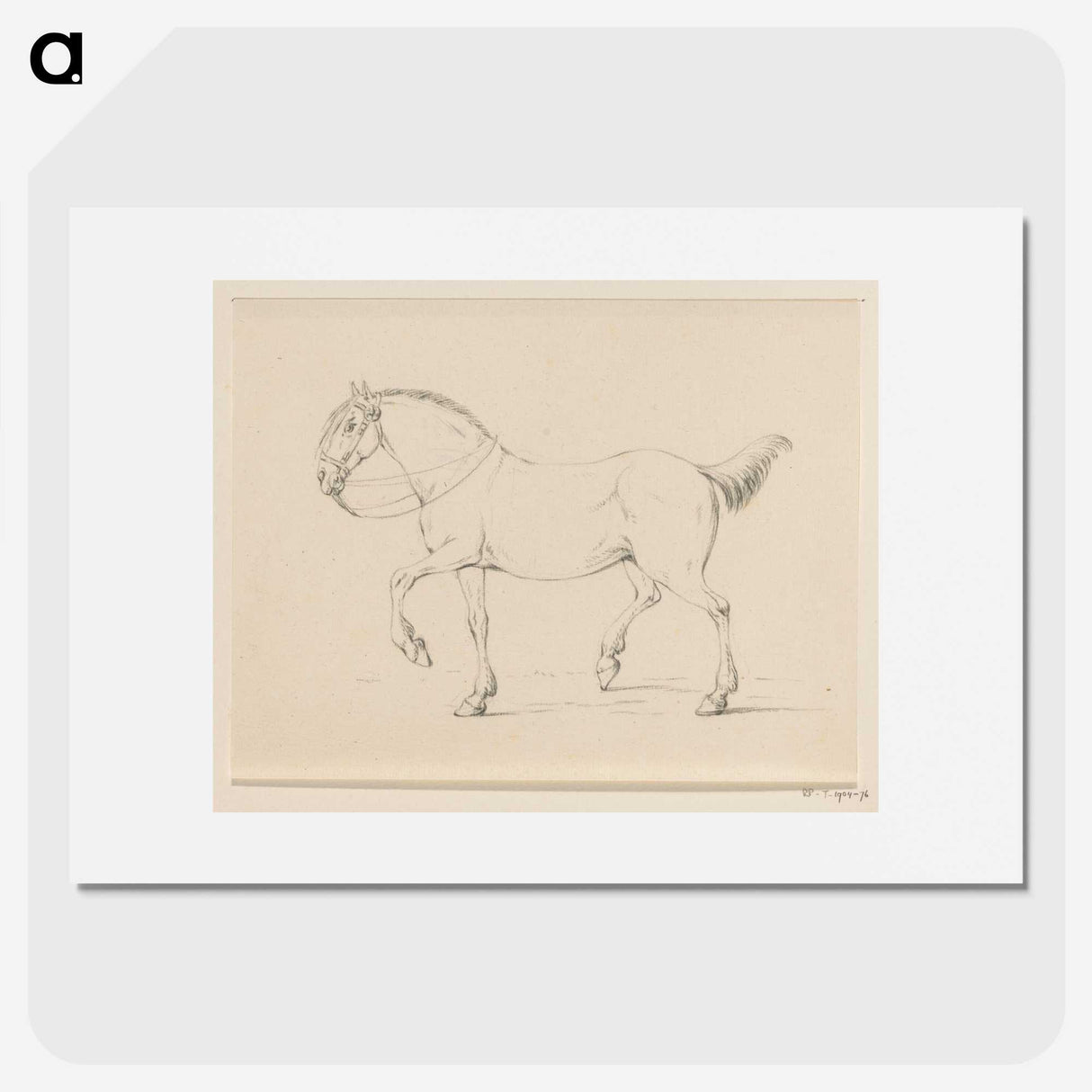 2-6_Jean-Bernard_picture