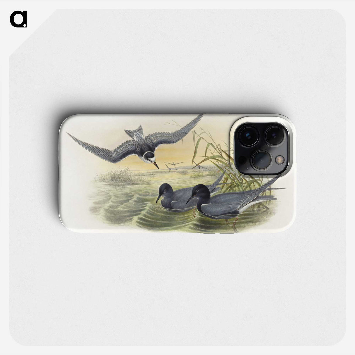 2-6_John-Gould_phone