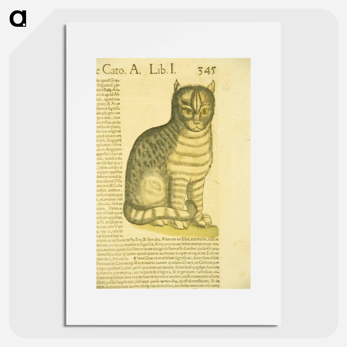 アートポスター-De cato seu fele
- 国立医学図書館 Poster.