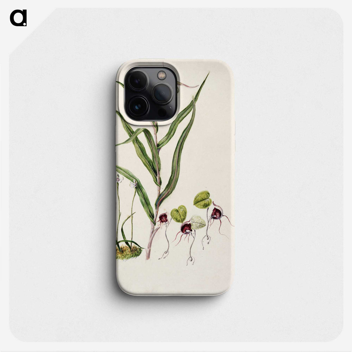 2-6_Native-Flowering-Plants-of-New-Zealand_phone