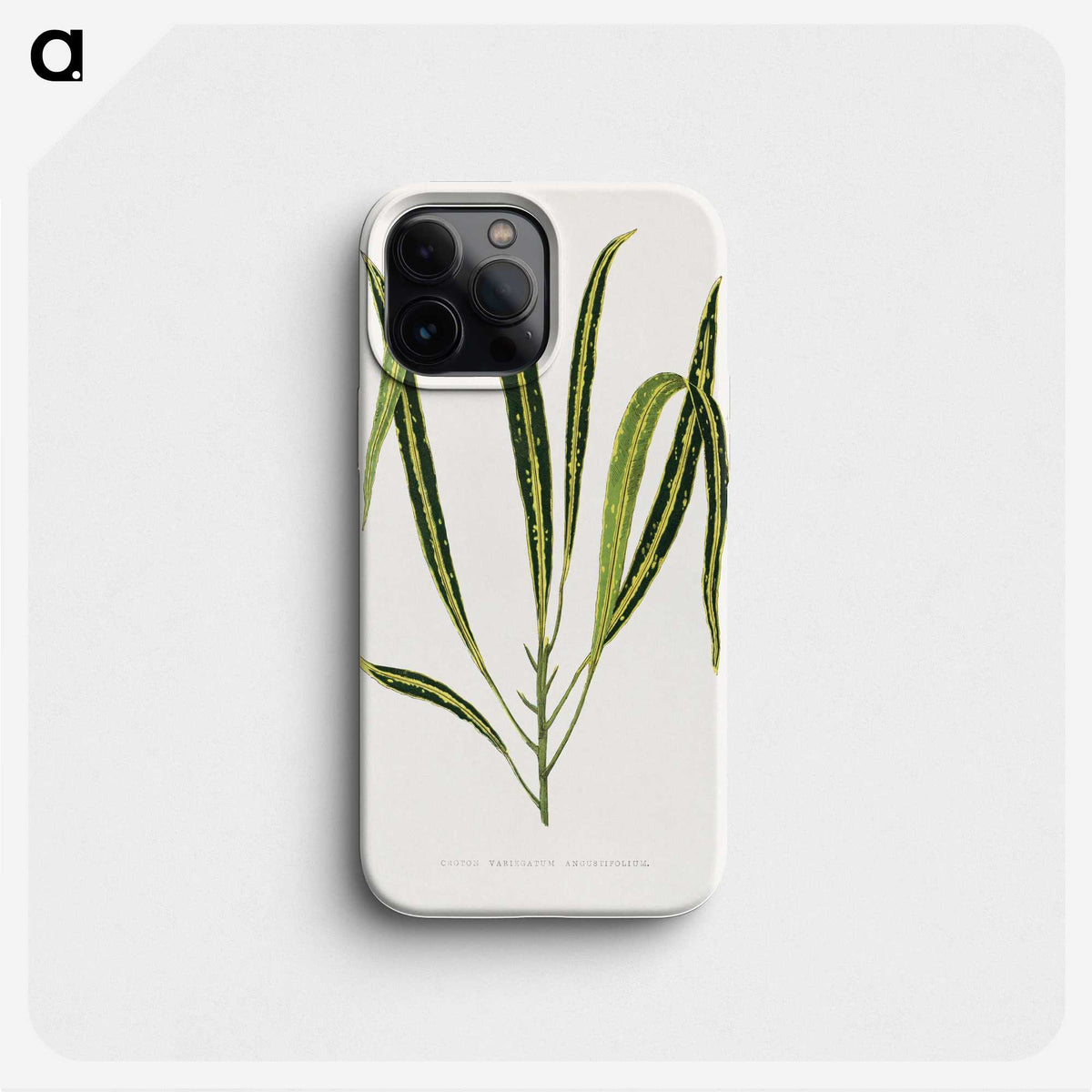 2-6_Plants-with-Colored-Foliage_phone