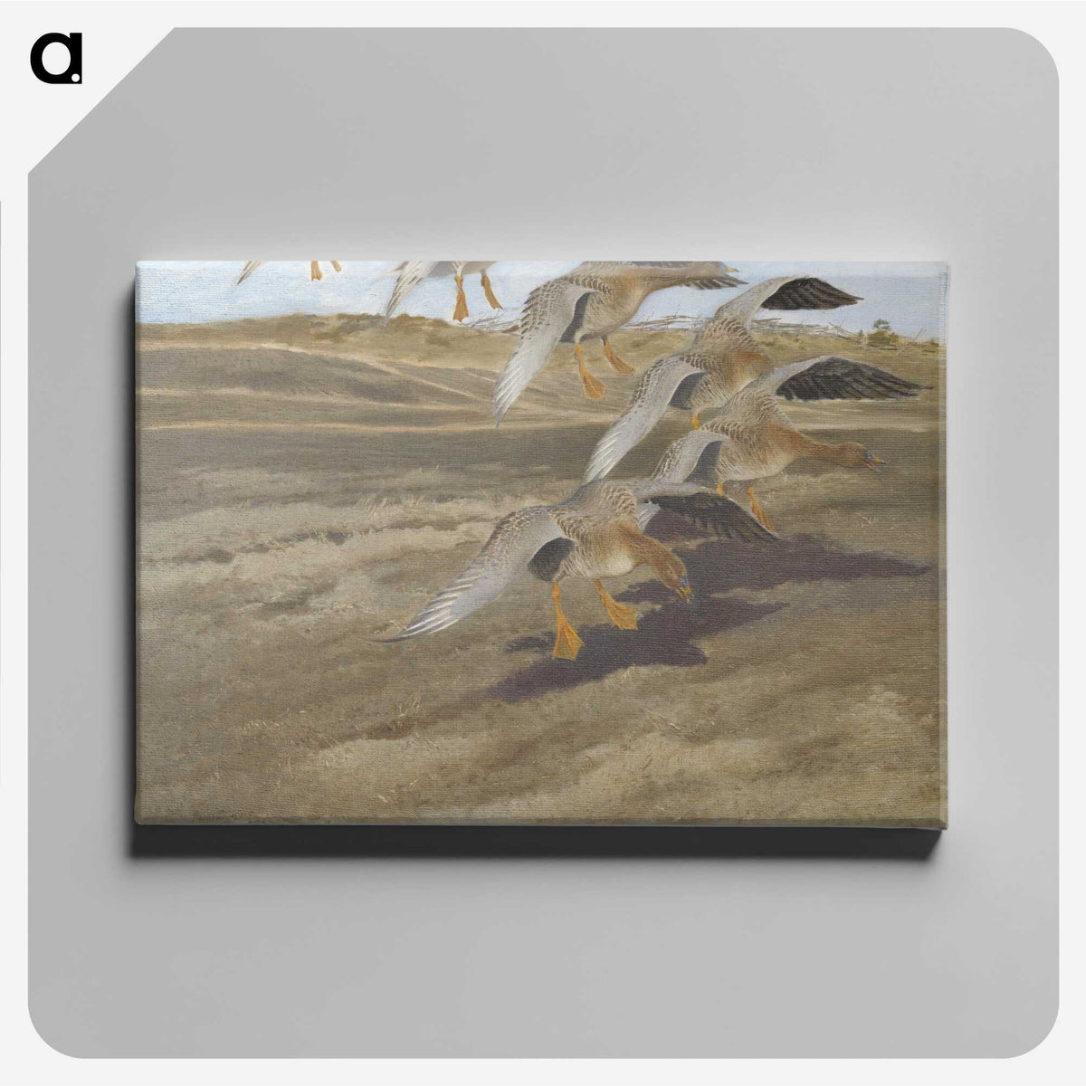 2-6_Thiel-Gallery_canvas