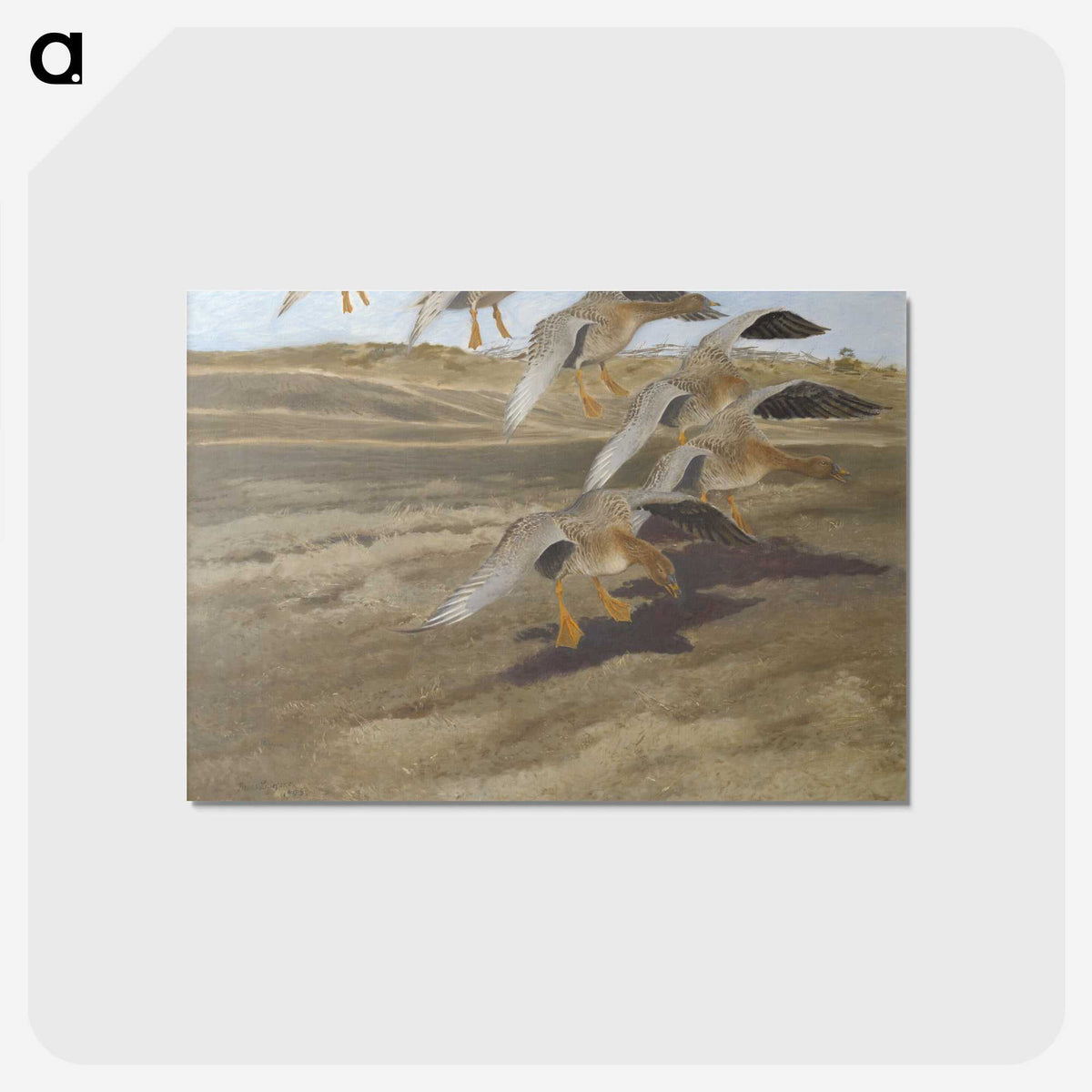 2-6_Thiel-Gallery_postcard