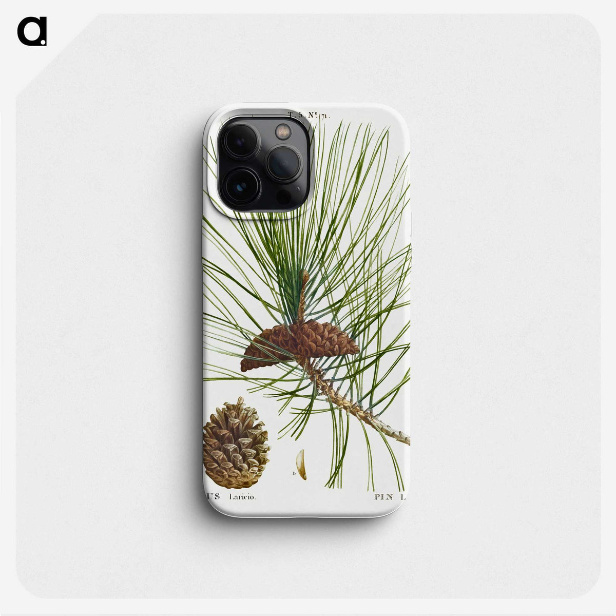 2-6_Treatise-on-Trees-and-Shrubs_phone