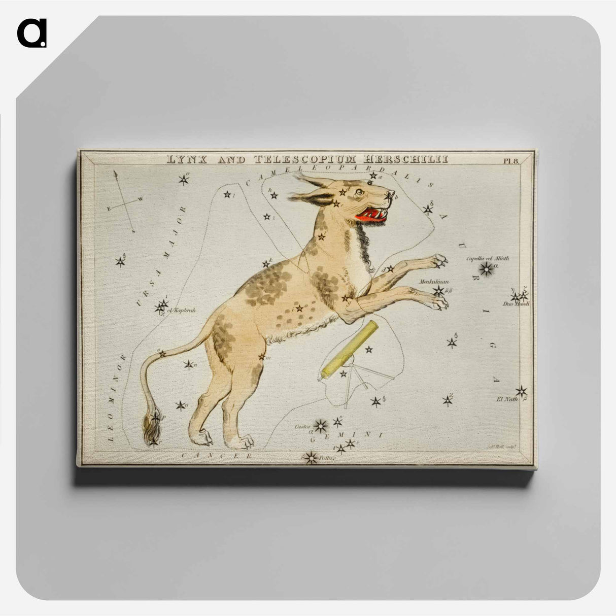 Sidney Hall’s astronomical chart illustration of Lynx and the Telescopium Herschilii - アンティーク地図 Canvas.