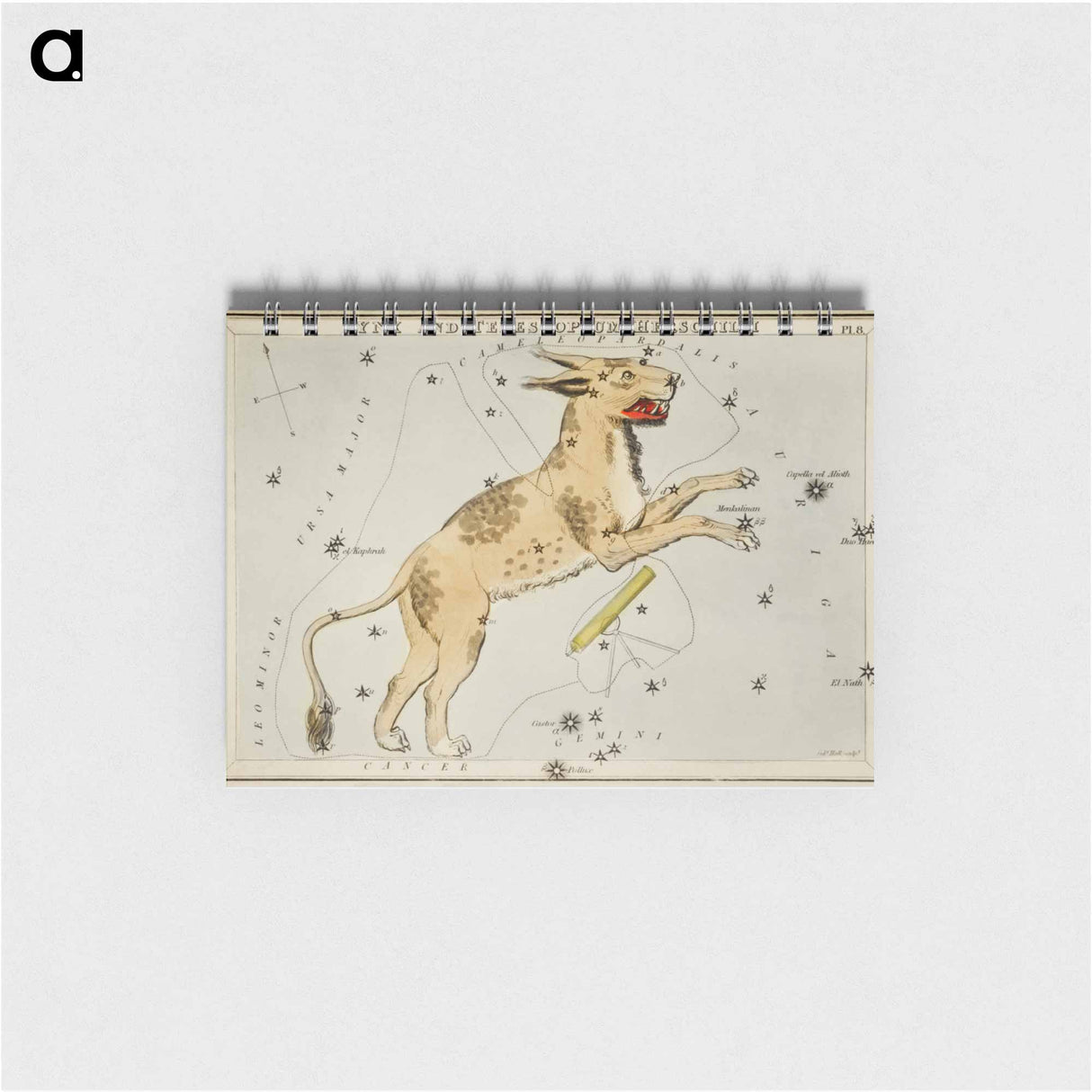 Sidney Hall’s astronomical chart illustration of Lynx and the Telescopium Herschilii - アンティーク地図 Memo.