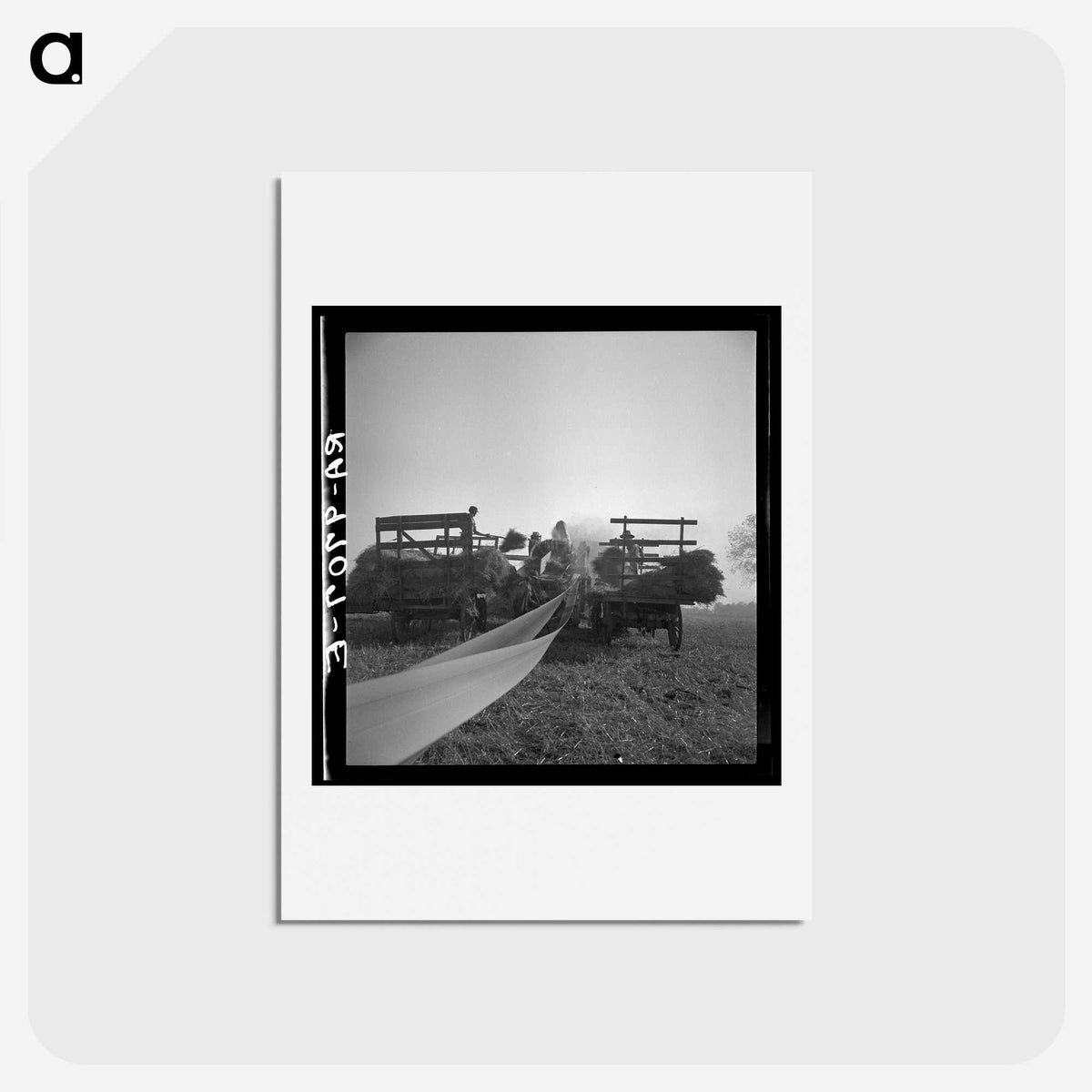 2-70_Dorothea-Lange_hagaki